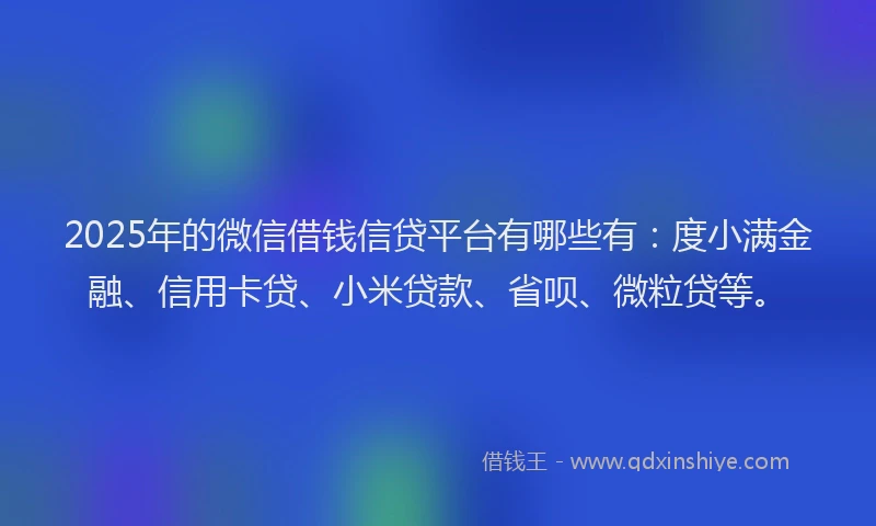 2025年的微信借钱信贷平台有哪些有：度小满金融、信用卡贷、小米贷款、省呗、微粒贷等。