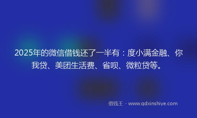 2025年的微信借钱还了一半有：度小满金融、你我贷、美团生活费、省呗、微粒贷等。