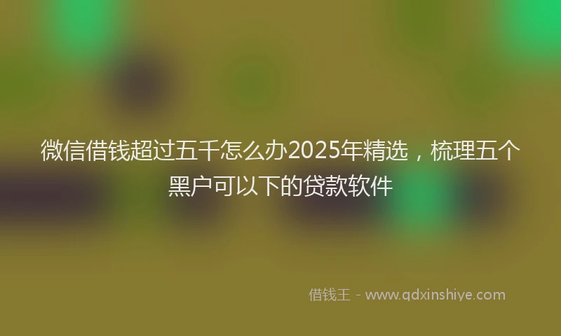 微信借钱超过五千怎么办2025年精选，梳理五个黑户可以下的贷款软件