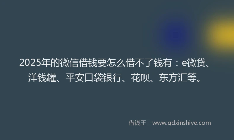 2025年的微信借钱要怎么借不了钱有：e微贷、洋钱罐、平安口袋银行、花呗、东方汇等。