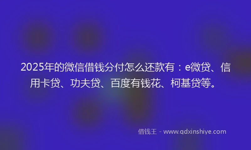 2025年的微信借钱分付怎么还款有：e微贷、信用卡贷、功夫贷、百度有钱花、柯基贷等。