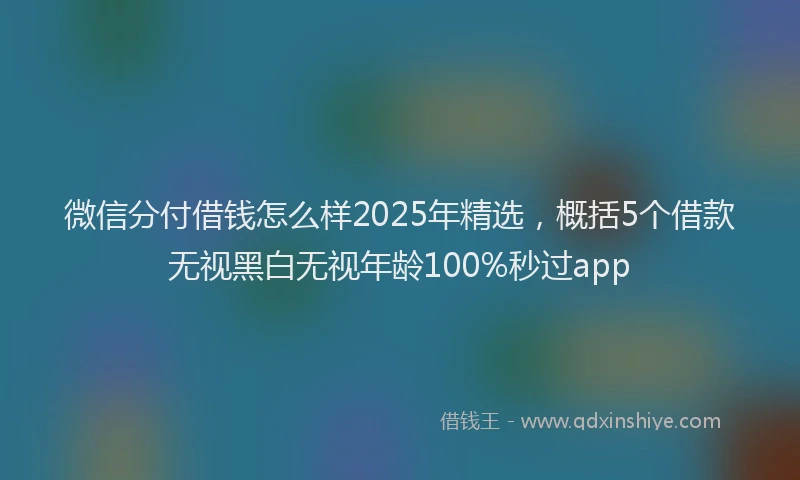 微信分付借钱怎么样2025年精选，概括5个借款无视黑白无视年龄100%秒过app