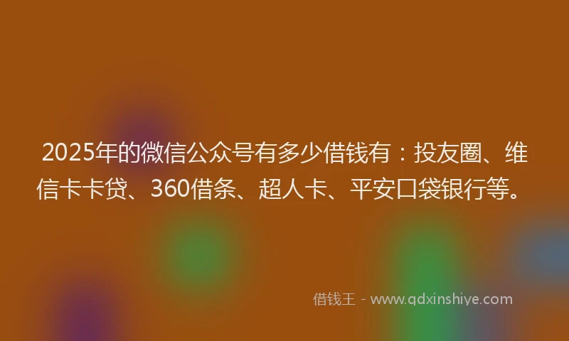 2025年的微信公众号有多少借钱有：投友圈、维信卡卡贷、360借条、超人卡、平安口袋银行等。