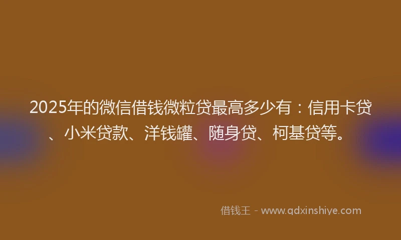 2025年的微信借钱微粒贷最高多少有：信用卡贷、小米贷款、洋钱罐、随身贷、柯基贷等。