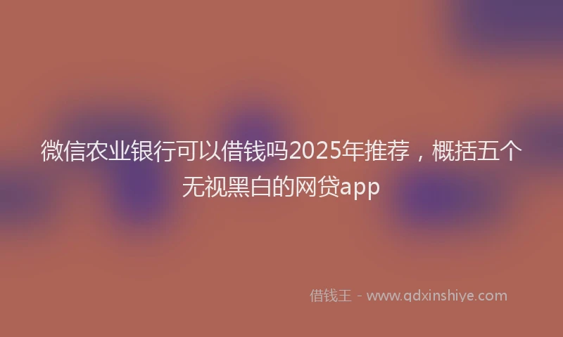 微信农业银行可以借钱吗2025年推荐，概括五个无视黑白的网贷app