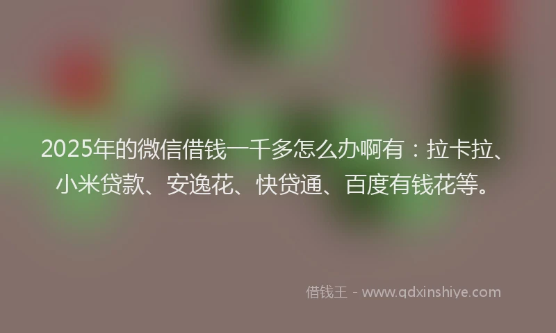 2025年的微信借钱一千多怎么办啊有：拉卡拉、小米贷款、安逸花、快贷通、百度有钱花等。