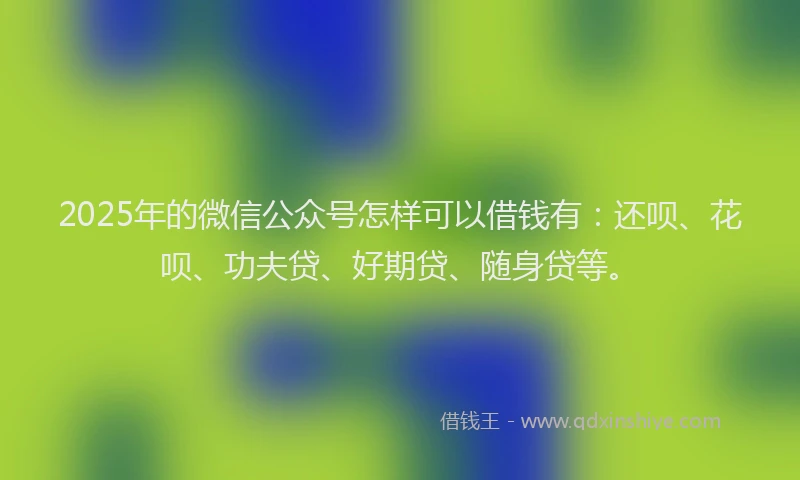 2025年的微信公众号怎样可以借钱有：还呗、花呗、功夫贷、好期贷、随身贷等。