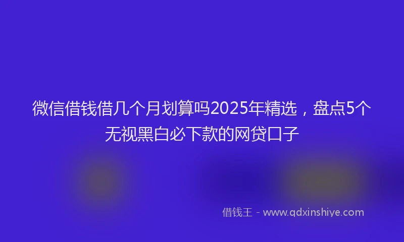 微信借钱借几个月划算吗2025年精选，盘点5个无视黑白必下款的网贷口子