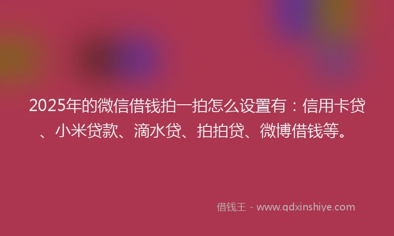 2025年的微信借钱拍一拍怎么设置有：信用卡贷、小米贷款、滴水贷、拍拍贷、微博借钱等。