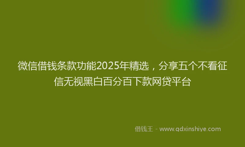 微信借钱条款功能2025年精选，分享五个不看征信无视黑白百分百下款网贷平台