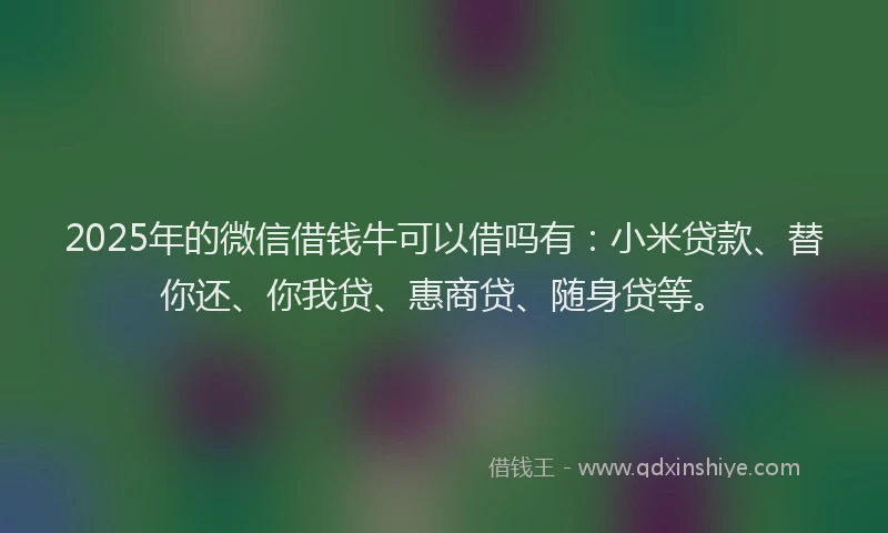 2025年的微信借钱牛可以借吗有：小米贷款、替你还、你我贷、惠商贷、随身贷等。