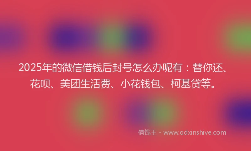 2025年的微信借钱后封号怎么办呢有：替你还、花呗、美团生活费、小花钱包、柯基贷等。