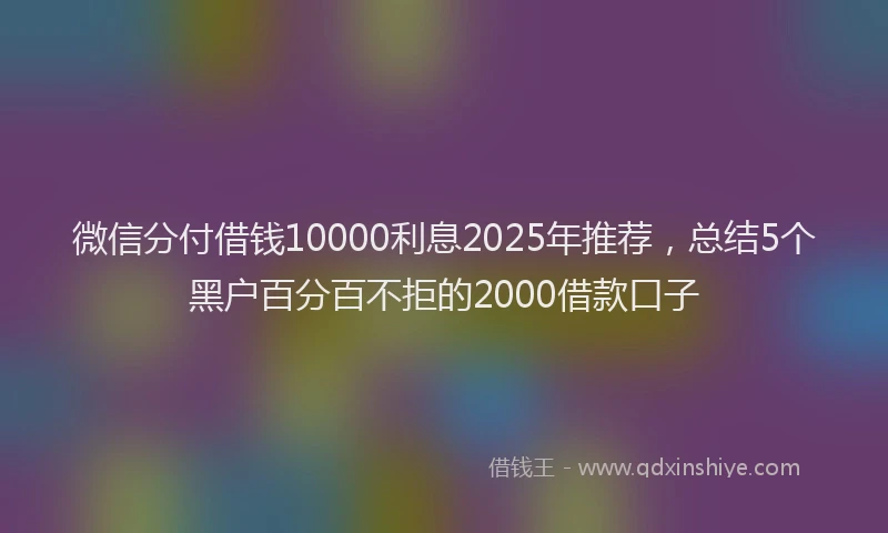 微信分付借钱10000利息2025年推荐，总结5个黑户百分百不拒的2000借款口子