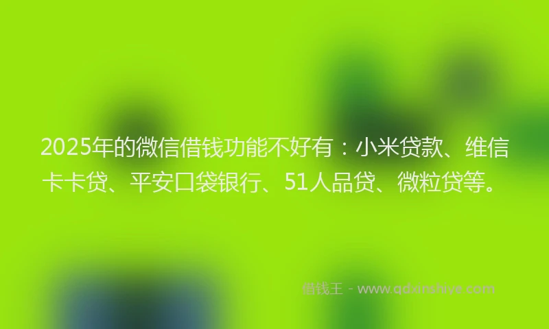 2025年的微信借钱功能不好有：小米贷款、维信卡卡贷、平安口袋银行、51人品贷、微粒贷等。
