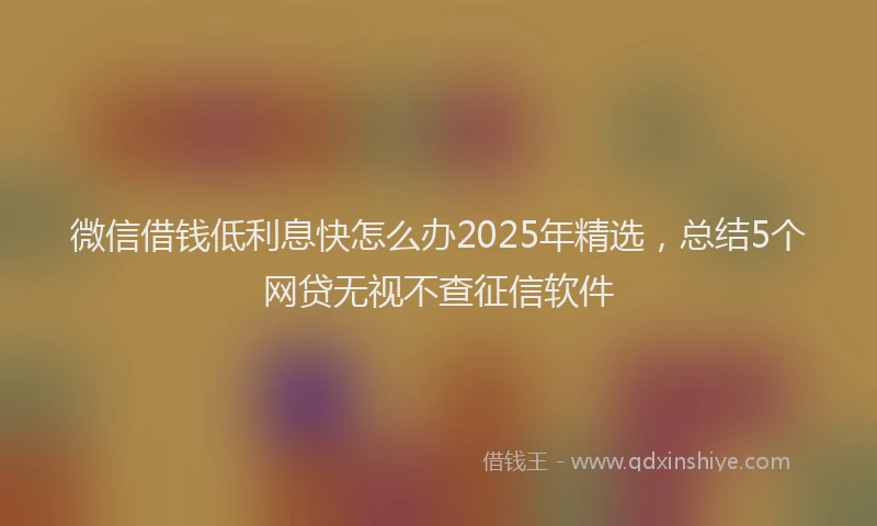 微信借钱低利息快怎么办2025年精选，总结5个网贷无视不查征信软件
