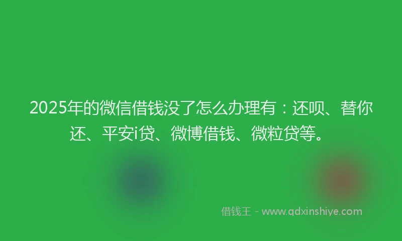2025年的微信借钱没了怎么办理有：还呗、替你还、平安i贷、微博借钱、微粒贷等。