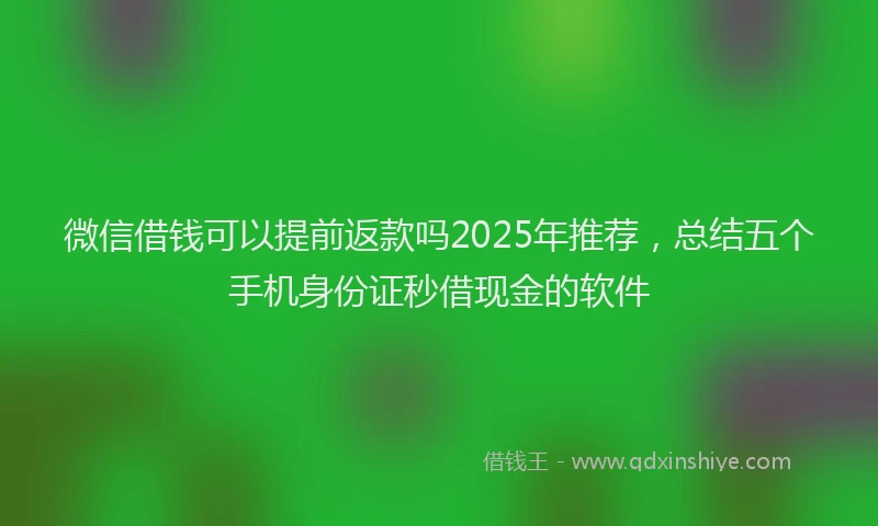 微信借钱可以提前返款吗2025年推荐，总结五个手机身份证秒借现金的软件