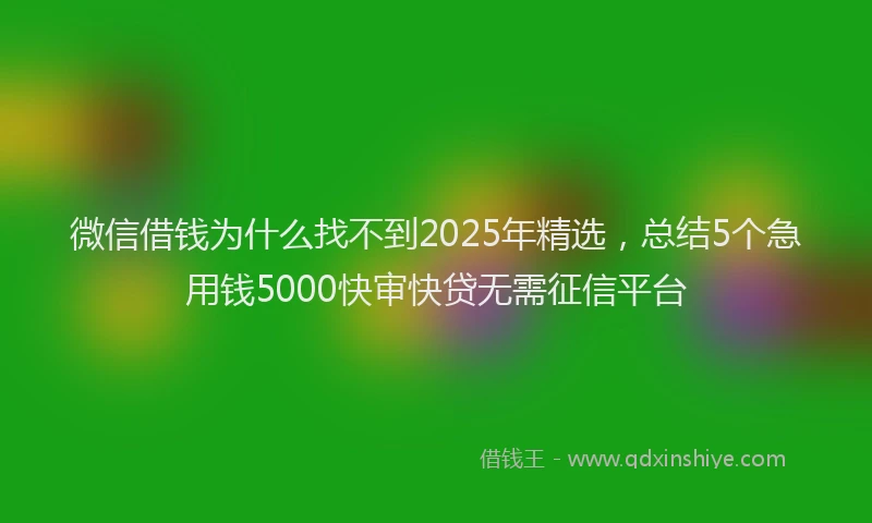 微信借钱为什么找不到2025年精选，总结5个急用钱5000快审快贷无需征信平台