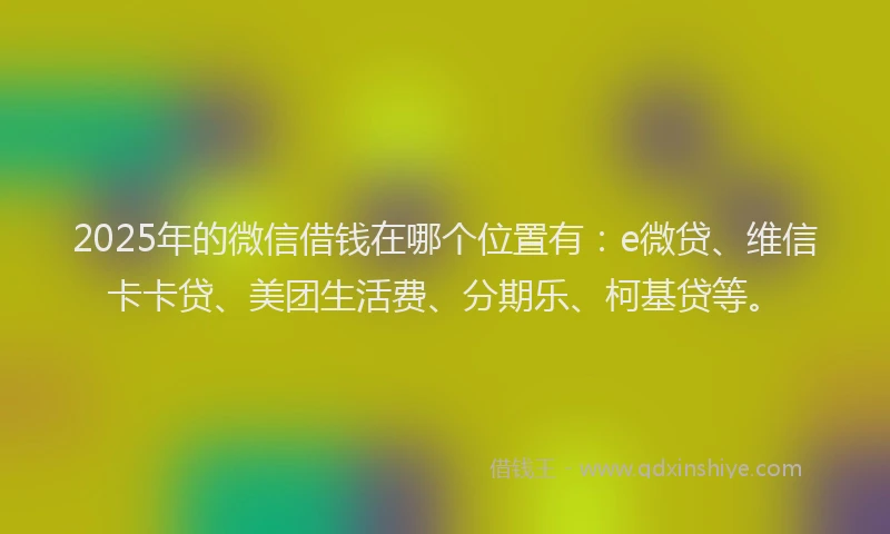 2025年的微信借钱在哪个位置有：e微贷、维信卡卡贷、美团生活费、分期乐、柯基贷等。