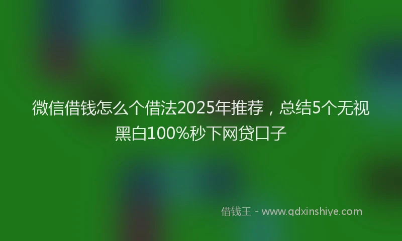 微信借钱怎么个借法2025年推荐，总结5个无视黑白100%秒下网贷口子