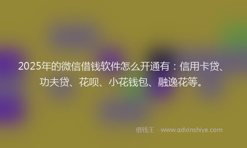2025年的微信借钱软件怎么开通有：信用卡贷、功夫贷、花呗、小花钱包、融逸花等。