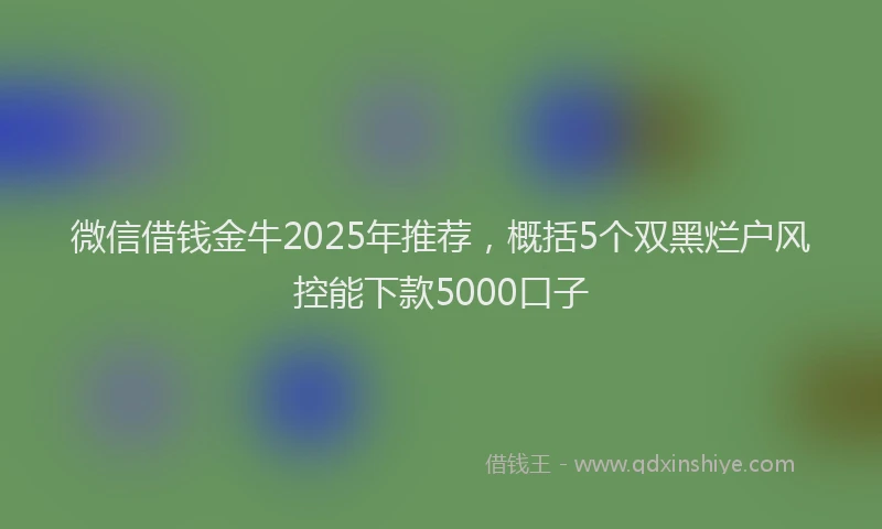 微信借钱金牛2025年推荐，概括5个双黑烂户风控能下款5000口子
