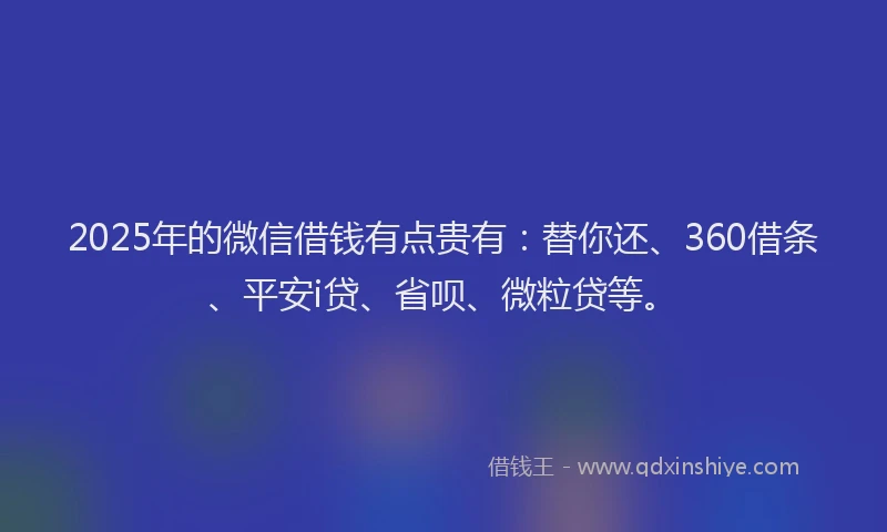 2025年的微信借钱有点贵有：替你还、360借条、平安i贷、省呗、微粒贷等。