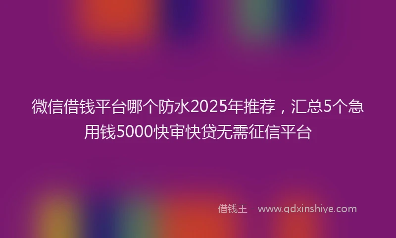 微信借钱平台哪个防水2025年推荐，汇总5个急用钱5000快审快贷无需征信平台