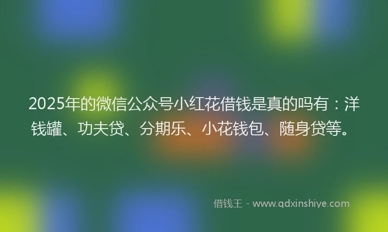 2025年的微信公众号小红花借钱是真的吗有：洋钱罐、功夫贷、分期乐、小花钱包、随身贷等。