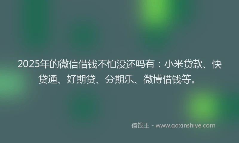 2025年的微信借钱不怕没还吗有：小米贷款、快贷通、好期贷、分期乐、微博借钱等。