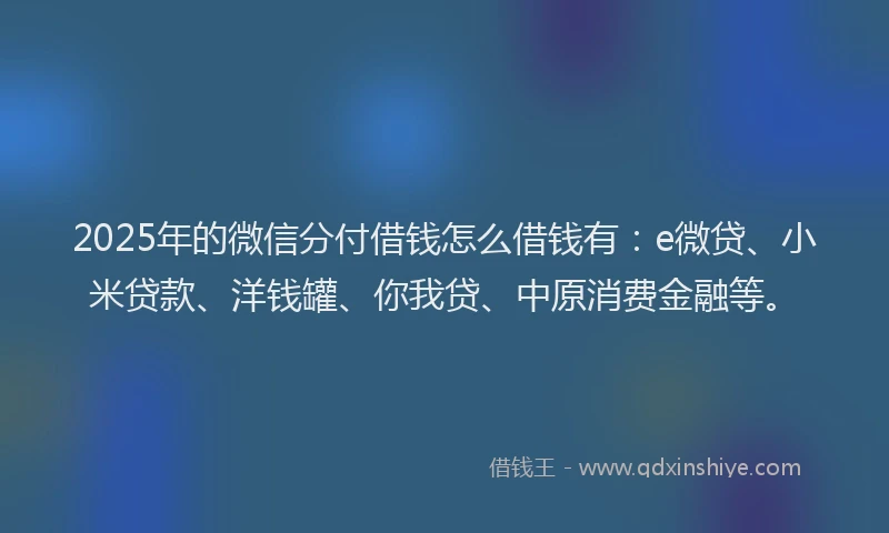 2025年的微信分付借钱怎么借钱有：e微贷、小米贷款、洋钱罐、你我贷、中原消费金融等。