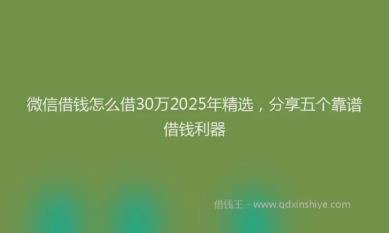 微信借钱怎么借30万2025年精选，分享五个靠谱借钱利器