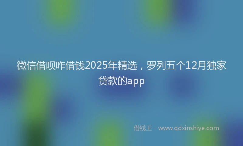微信借呗咋借钱2025年精选，罗列五个12月独家贷款的app
