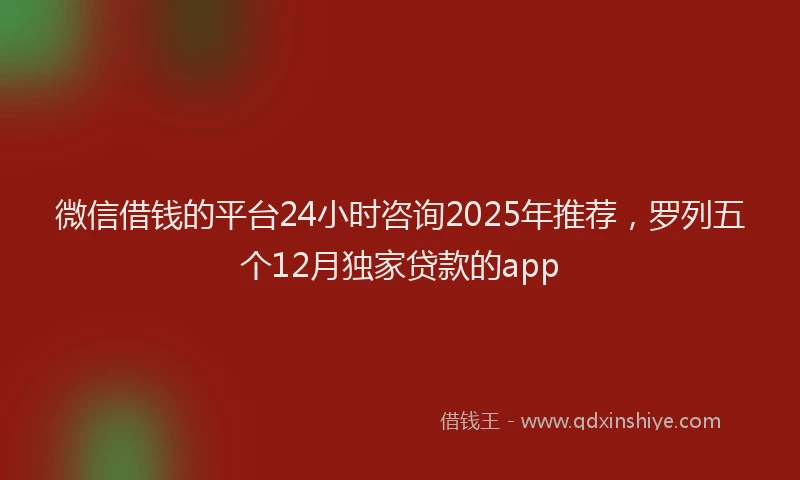 微信借钱的平台24小时咨询2025年推荐，罗列五个12月独家贷款的app