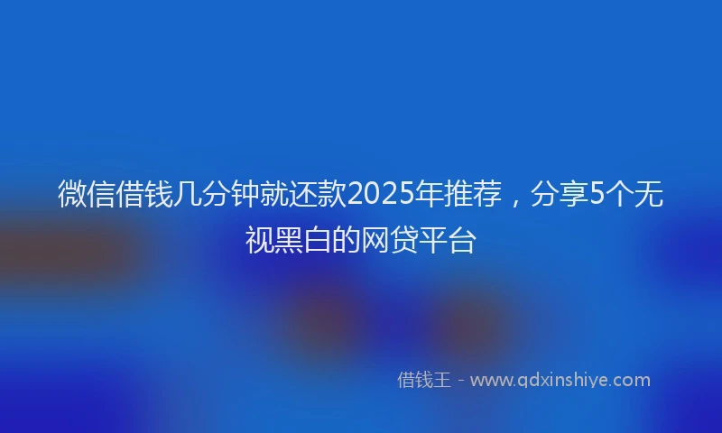 微信借钱几分钟就还款2025年推荐，分享5个无视黑白的网贷平台