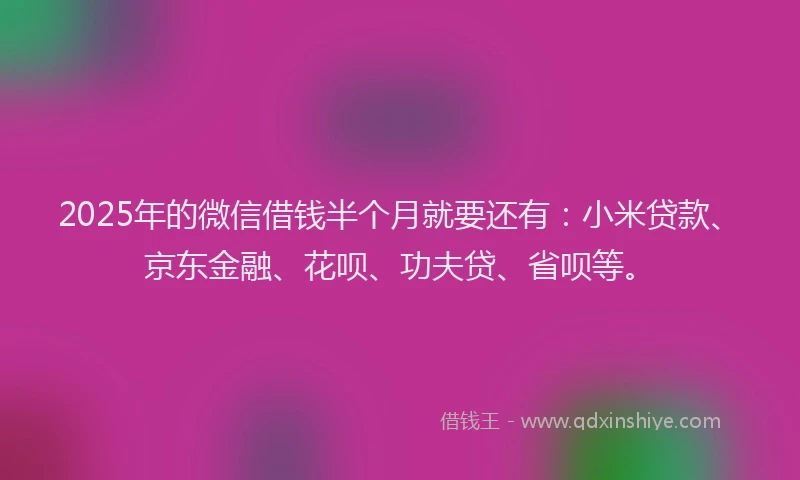 2025年的微信借钱半个月就要还有：小米贷款、京东金融、花呗、功夫贷、省呗等。