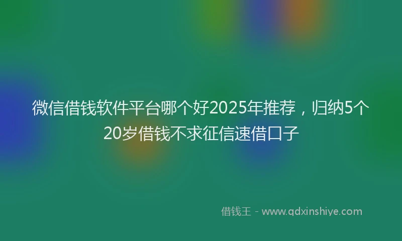 微信借钱软件平台哪个好2025年推荐，归纳5个20岁借钱不求征信速借口子