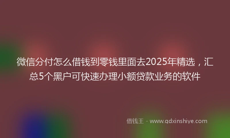 微信分付怎么借钱到零钱里面去2025年精选，汇总5个黑户可快速办理小额贷款业务的软件