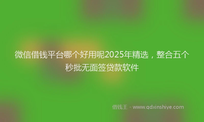 微信借钱平台哪个好用呢2025年精选，整合五个秒批无面签贷款软件