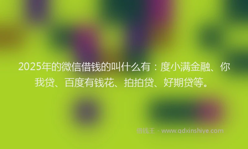 2025年的微信借钱的叫什么有：度小满金融、你我贷、百度有钱花、拍拍贷、好期贷等。
