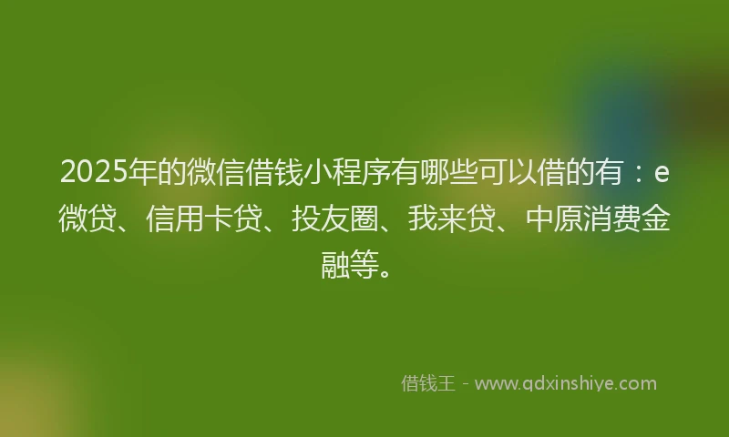 2025年的微信借钱小程序有哪些可以借的有：e微贷、信用卡贷、投友圈、我来贷、中原消费金融等。