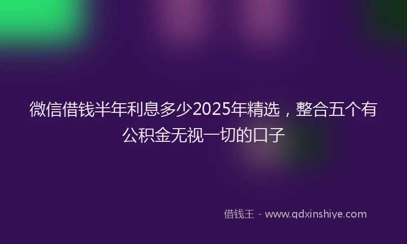 微信借钱半年利息多少2025年精选，整合五个有公积金无视一切的口子