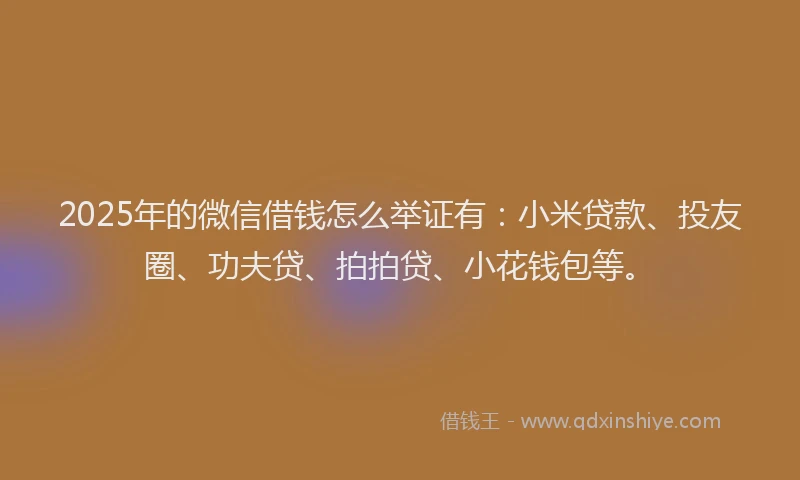 2025年的微信借钱怎么举证有：小米贷款、投友圈、功夫贷、拍拍贷、小花钱包等。