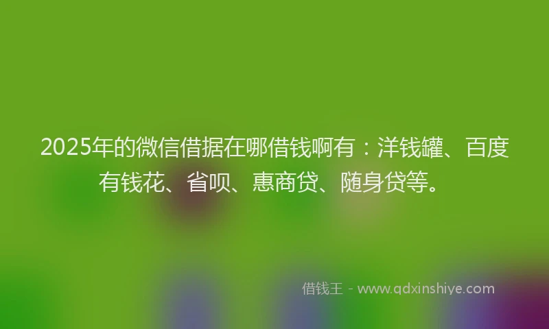 2025年的微信借据在哪借钱啊有：洋钱罐、百度有钱花、省呗、惠商贷、随身贷等。