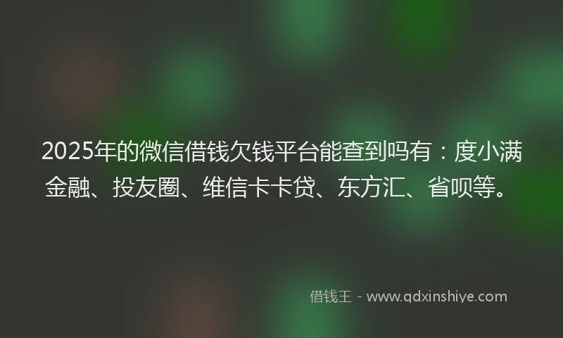 2025年的微信借钱欠钱平台能查到吗有：度小满金融、投友圈、维信卡卡贷、东方汇、省呗等。