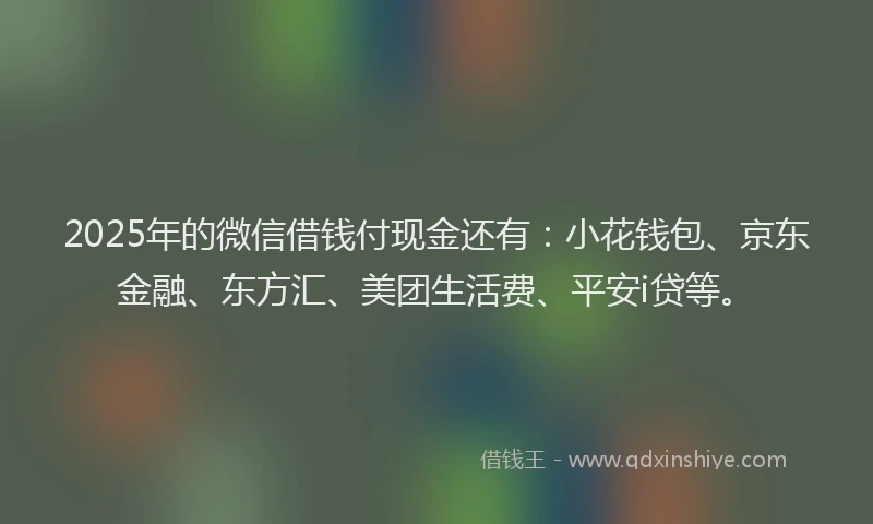 2025年的微信借钱付现金还有：小花钱包、京东金融、东方汇、美团生活费、平安i贷等。