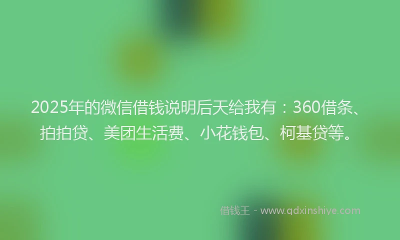 2025年的微信借钱说明后天给我有：360借条、拍拍贷、美团生活费、小花钱包、柯基贷等。