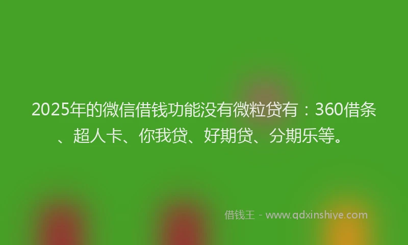 2025年的微信借钱功能没有微粒贷有：360借条、超人卡、你我贷、好期贷、分期乐等。