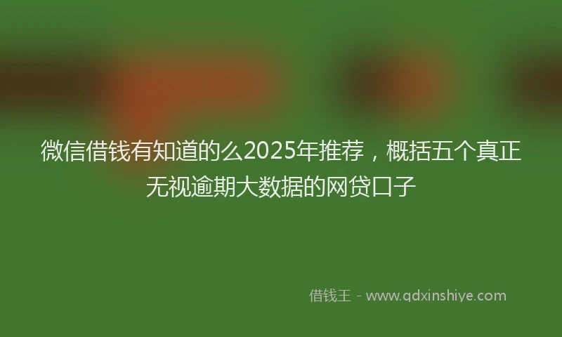 微信借钱有知道的么2025年推荐，概括五个真正无视逾期大数据的网贷口子
