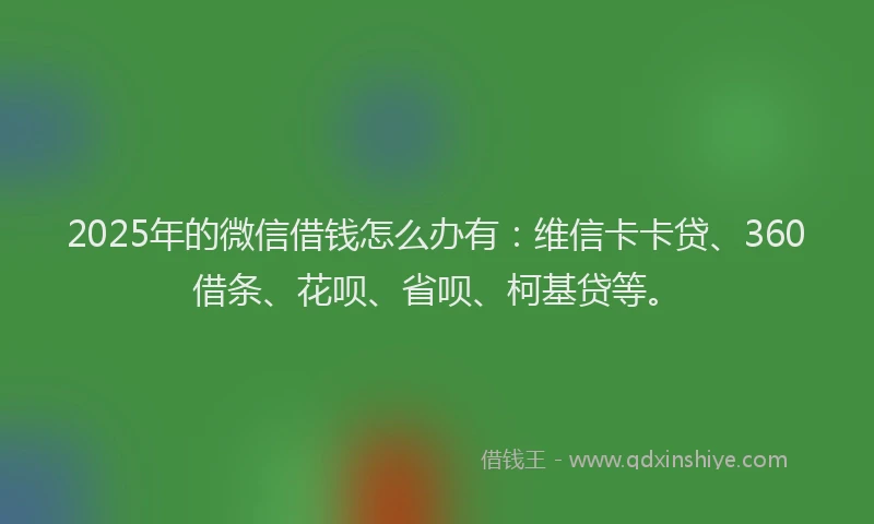 2025年的微信借钱怎么办有：维信卡卡贷、360借条、花呗、省呗、柯基贷等。